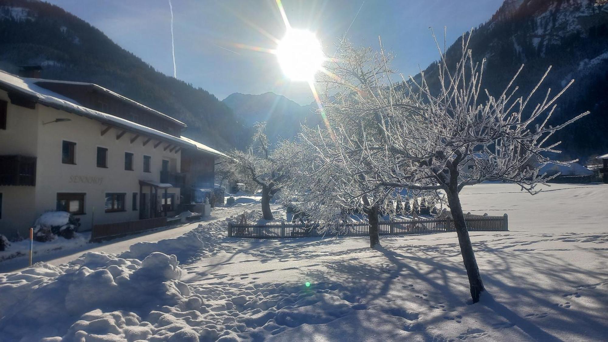 Apartament Sennhof Lechtal Bach  Zewnętrze zdjęcie